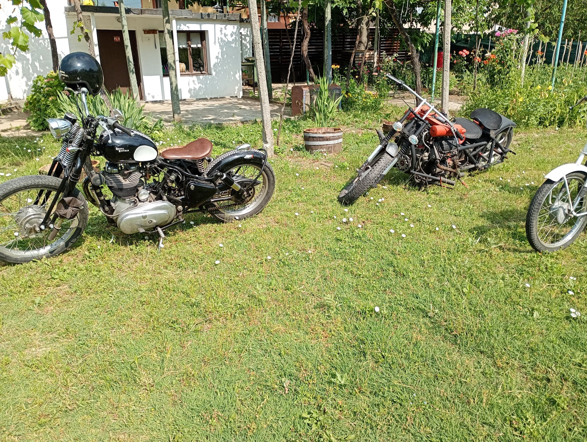 506603749 122143485890791067 8301798882775584305 N