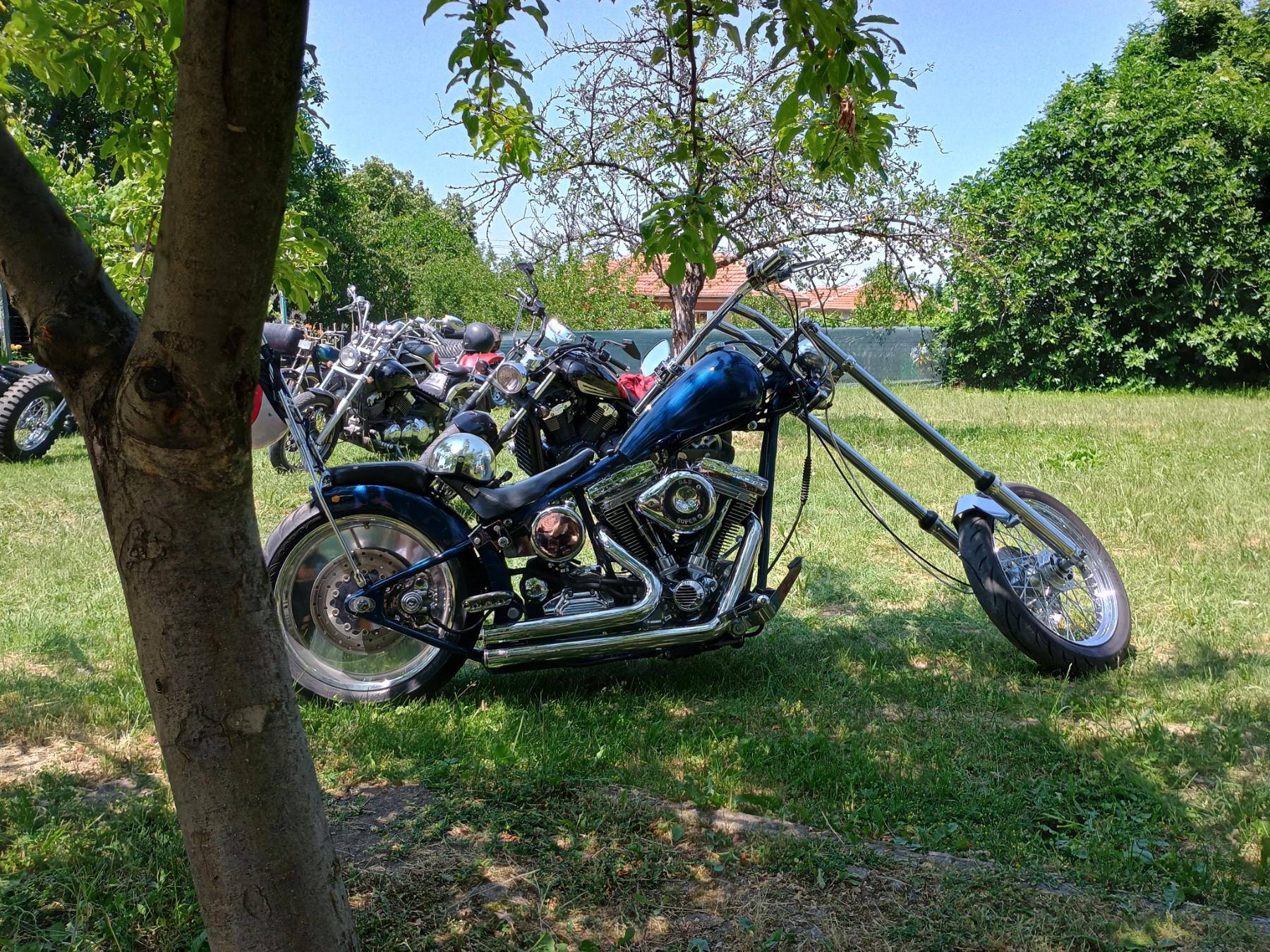 519414110 122148437654791067 2749112381170054723 N