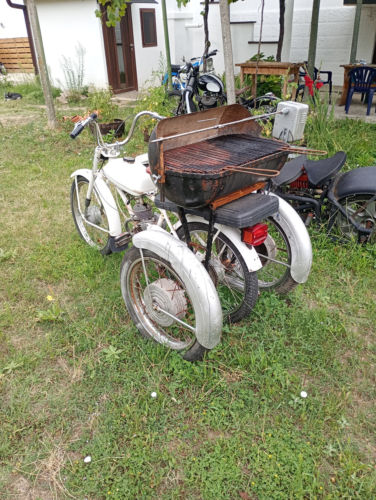 532250883 122154143180791067 748918386993318175 N